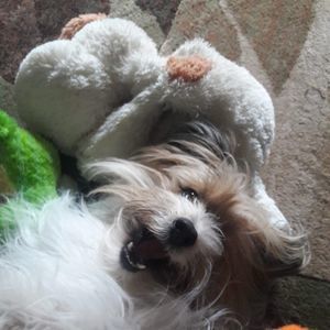 Meet your Posher, Laura